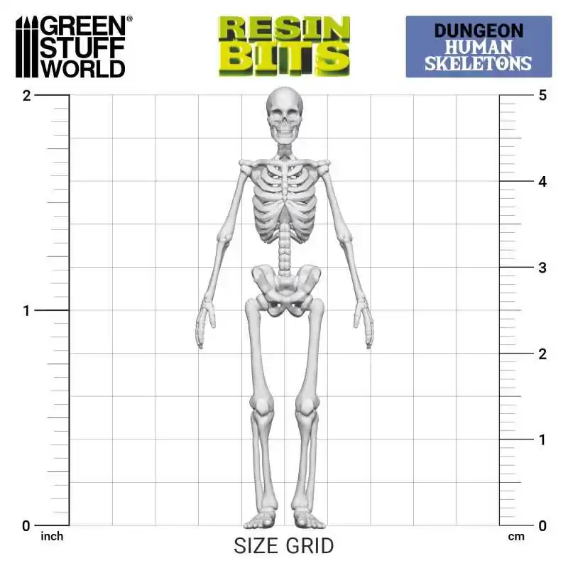 Green Stuff World - 3D printed set - Human Skeletons 1 35 - Bewährte Qualität